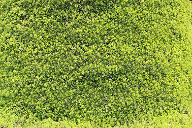 DNF衍生动画《阿拉德战记》主题 《Project DW》新游公布